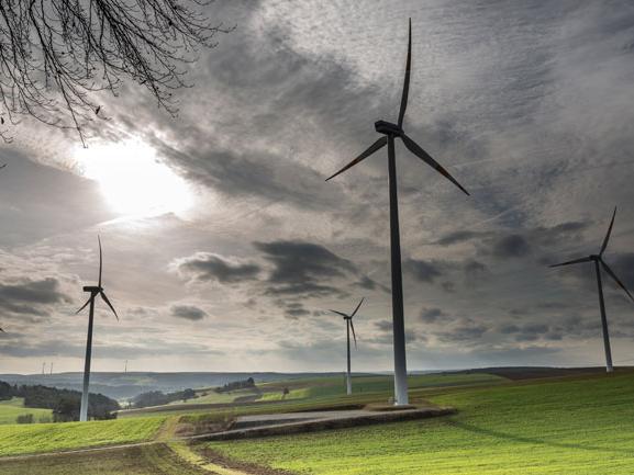 wind turbines in field