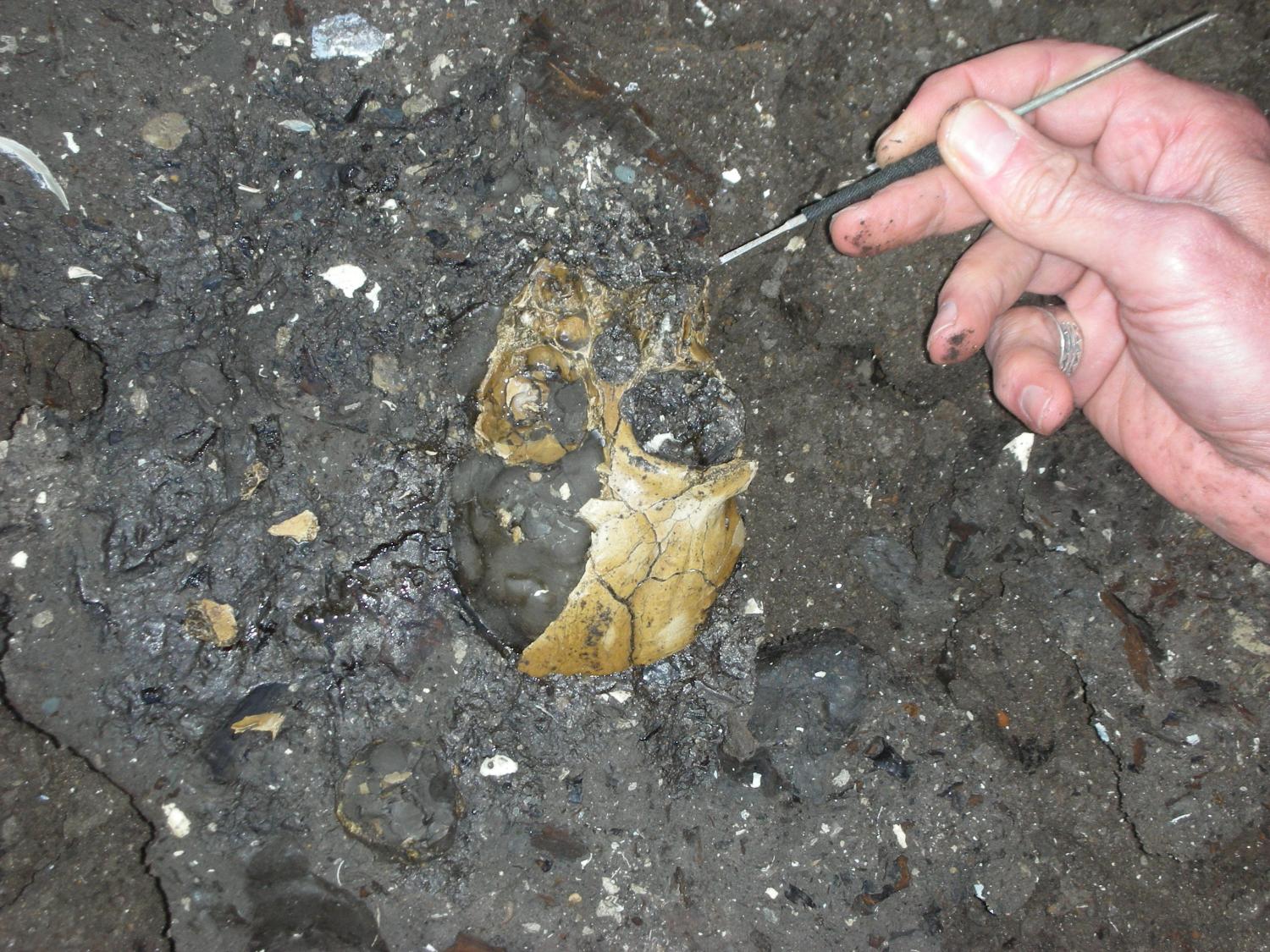hand next to skull in situ