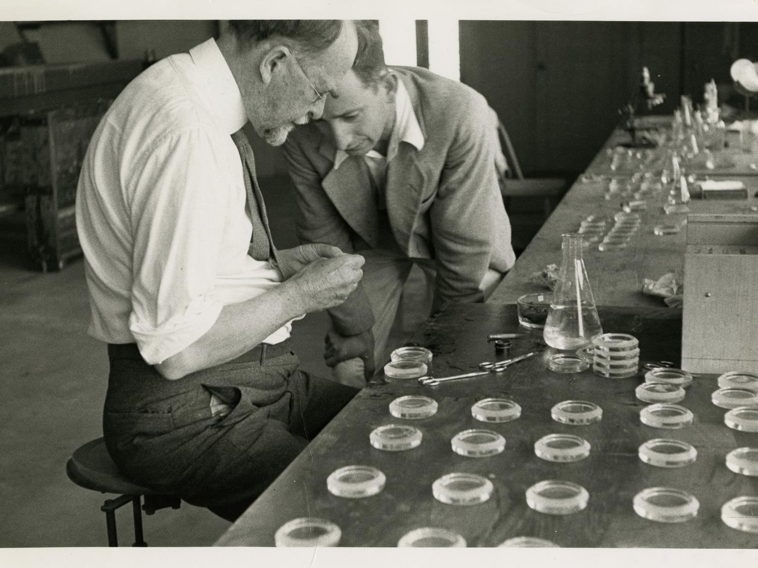 An archival photo of two scientists working with DNA.