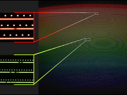 The first light image of the spectrum of 51 Pegasi as captured by NEID