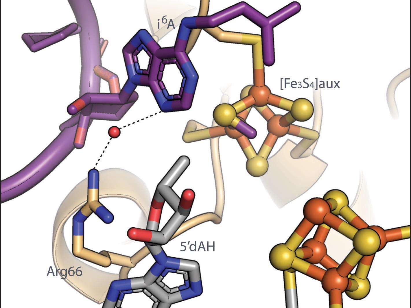 illustration of molecules bound together