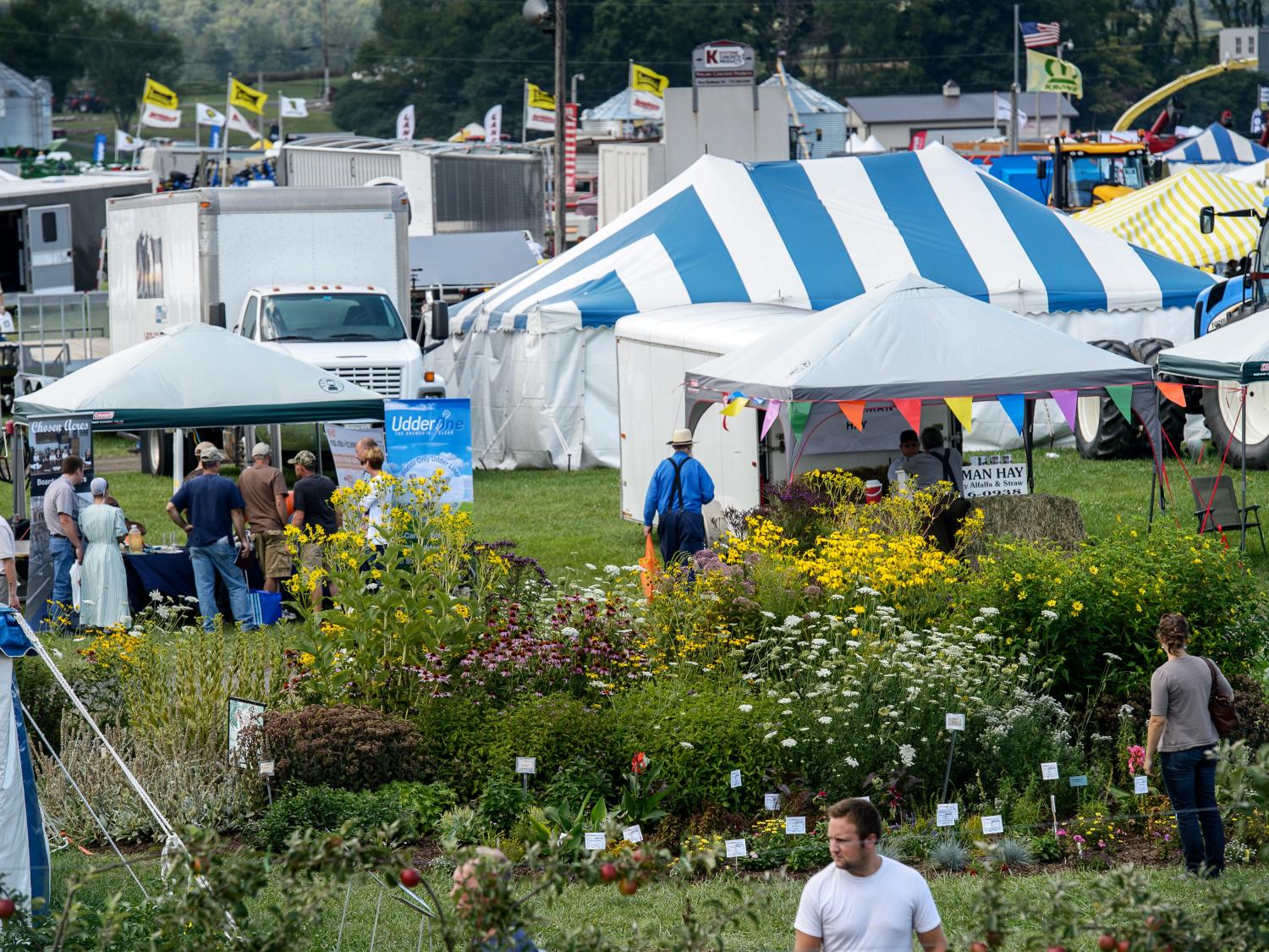 APD Yard, gGarden Area view
