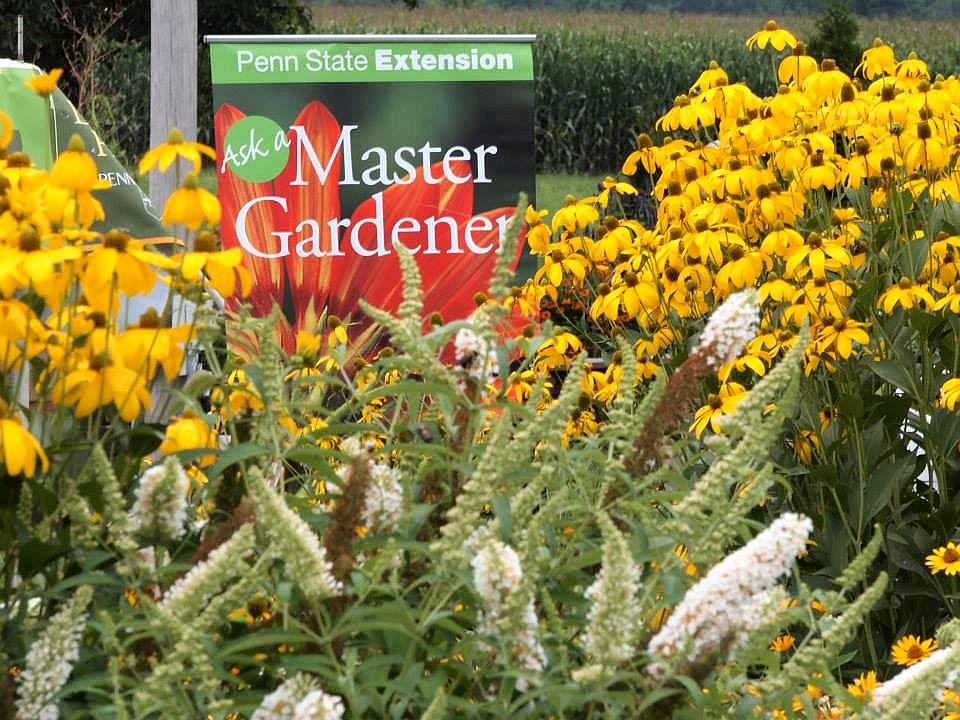 Ag Progress Days Master Gardener Area