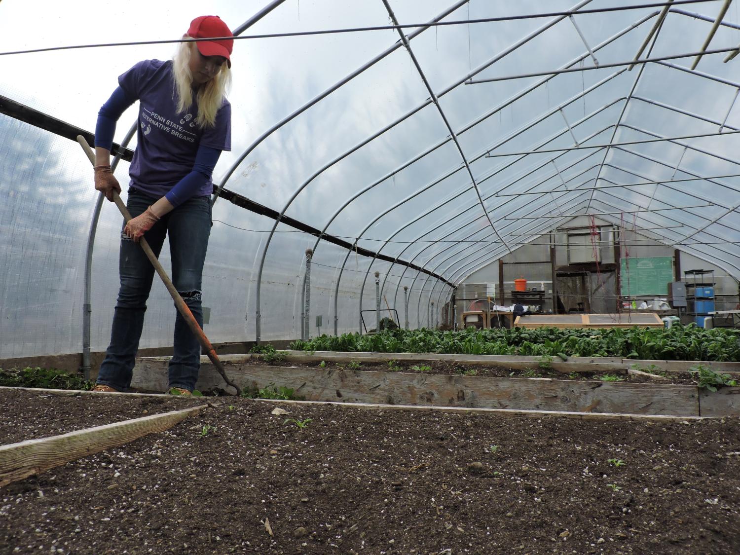 Penn State Student Volunteering for Alternative Spring Break