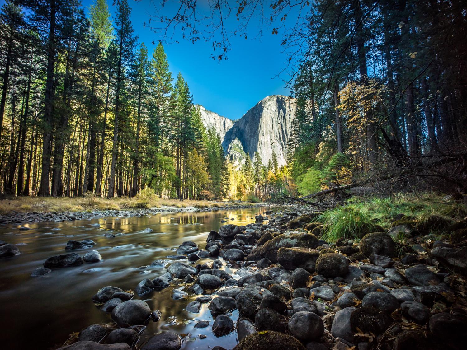 National Park Twitter