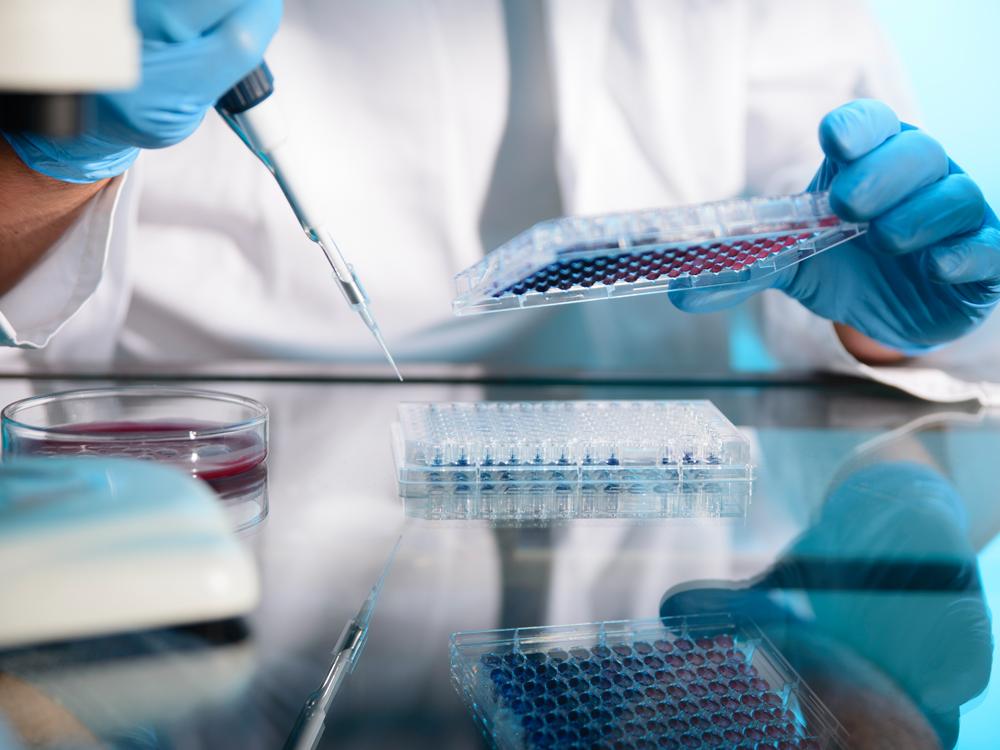 A close-up of a lab worker wearing a white coat and blue gloves, using pipetting equipment and a tray.