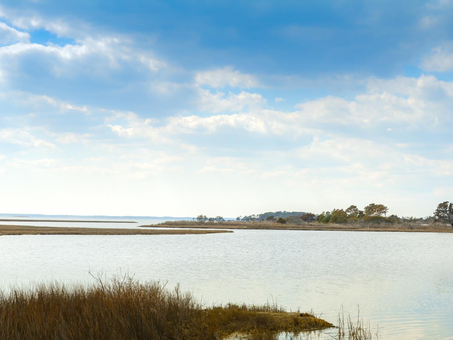 image of the Chesapeake Bay