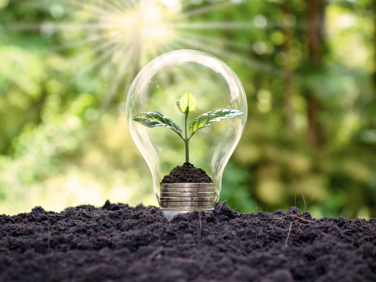 An invitation of a growing light bulb used to welcome attendees at the virtual 2021 Penn State Sustainability Spotlight