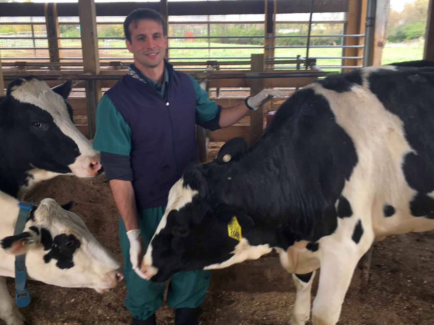 Adrian Barragan with cows