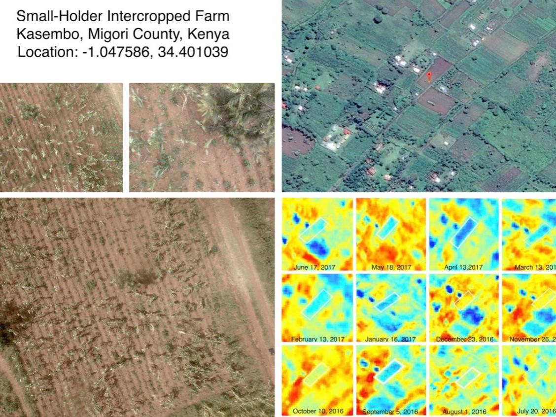 Aerial collage of Kenyan farm