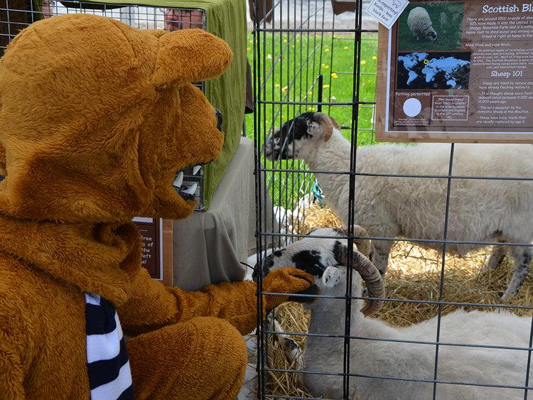 Ag Day