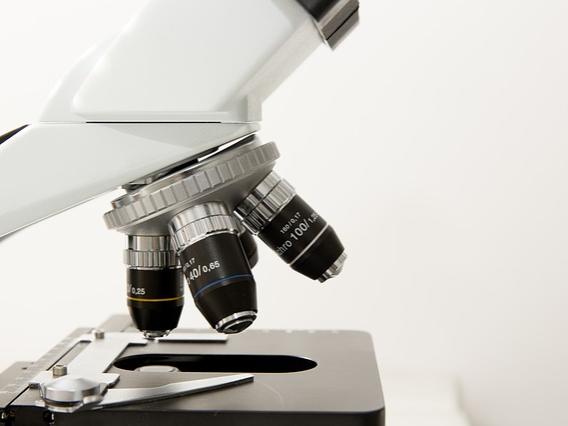 Alumni Library photo 