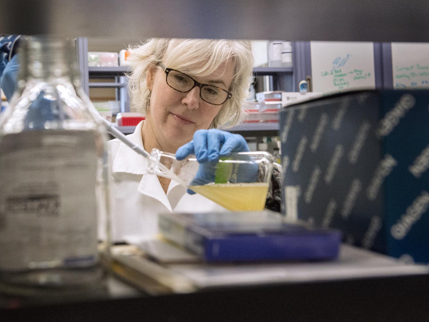 Genomics Lab