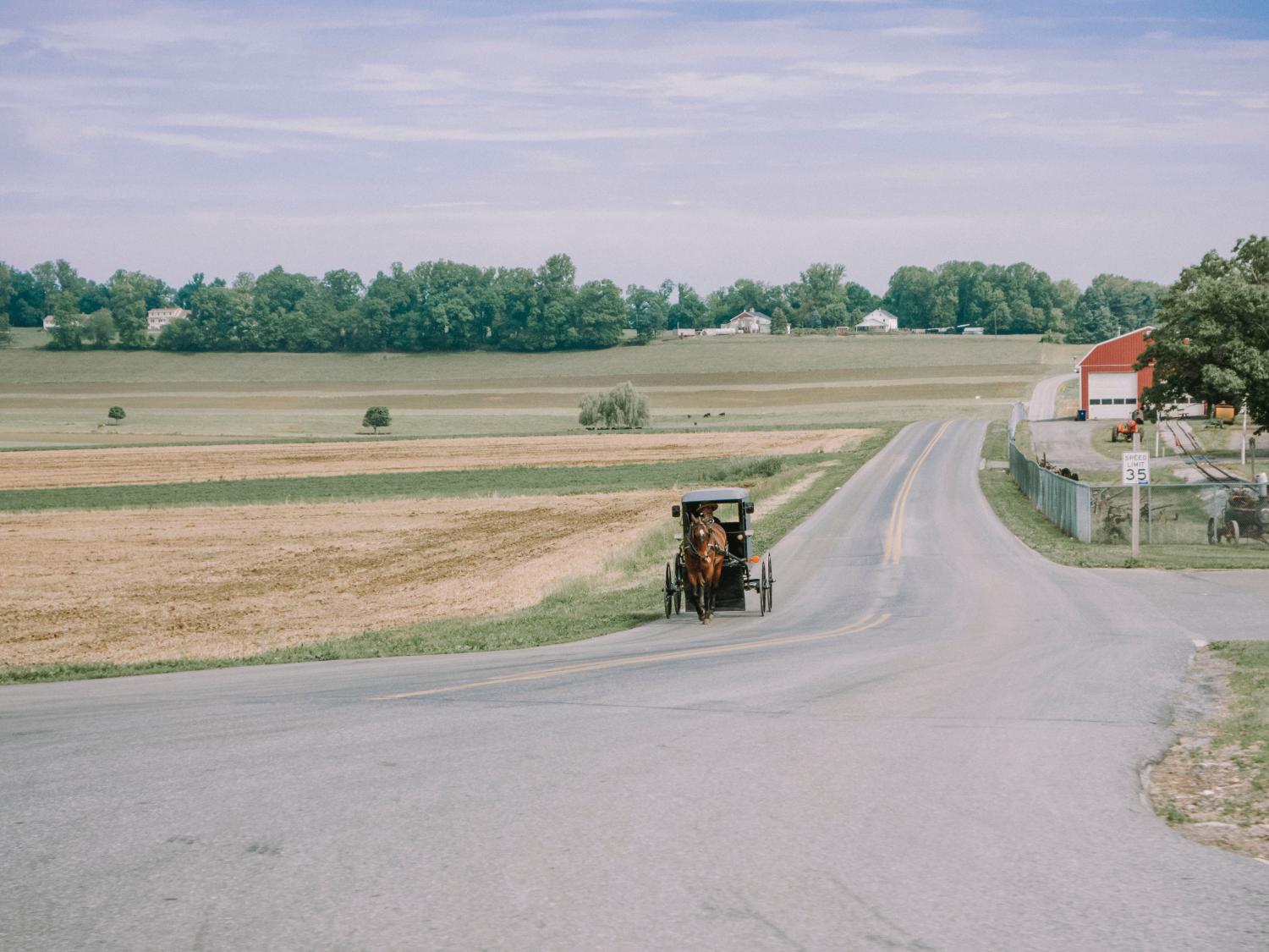 Amish