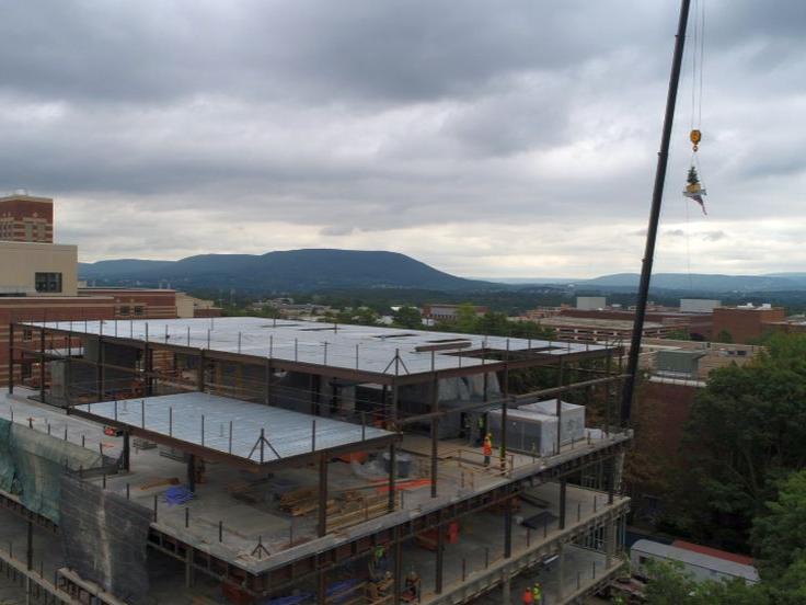 Animal Vet and Biomed Sci Bldg topping out