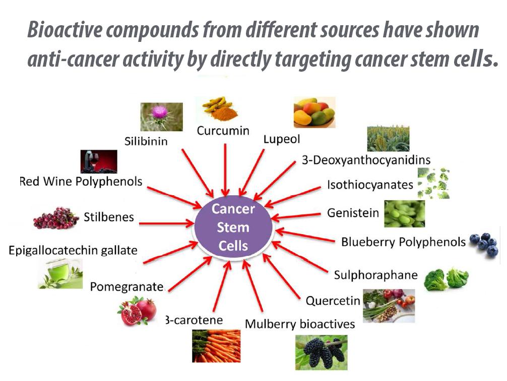 anti-cancer food graphic