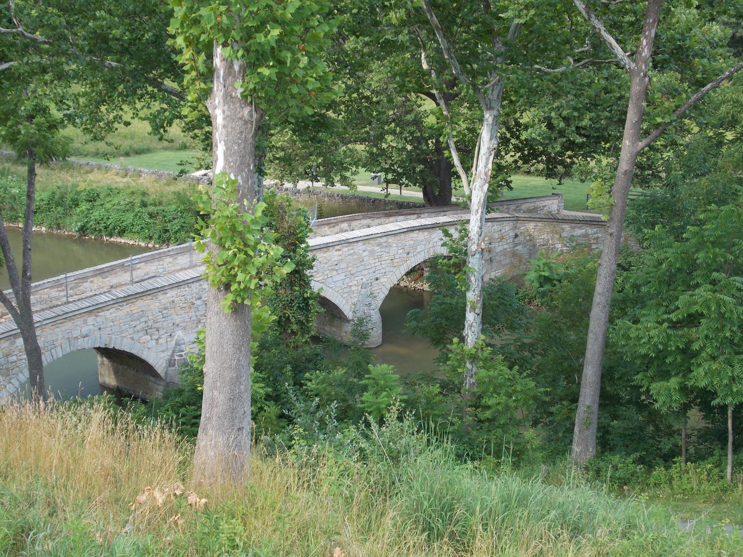 Burnside Bridge 2014