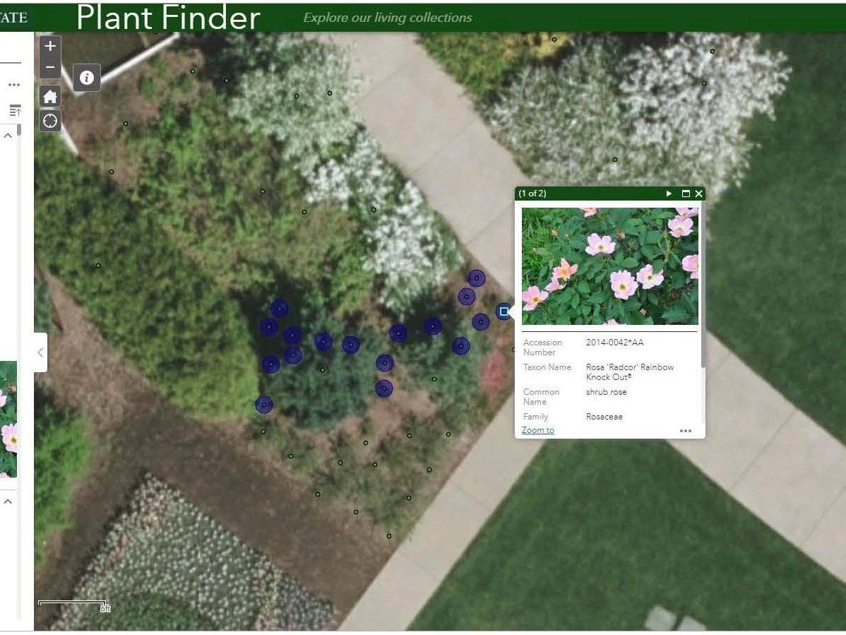 Arboretum Plant Finder screenshot