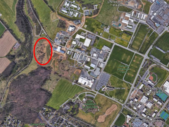Arboretum Prescribed Burn Spring 2018