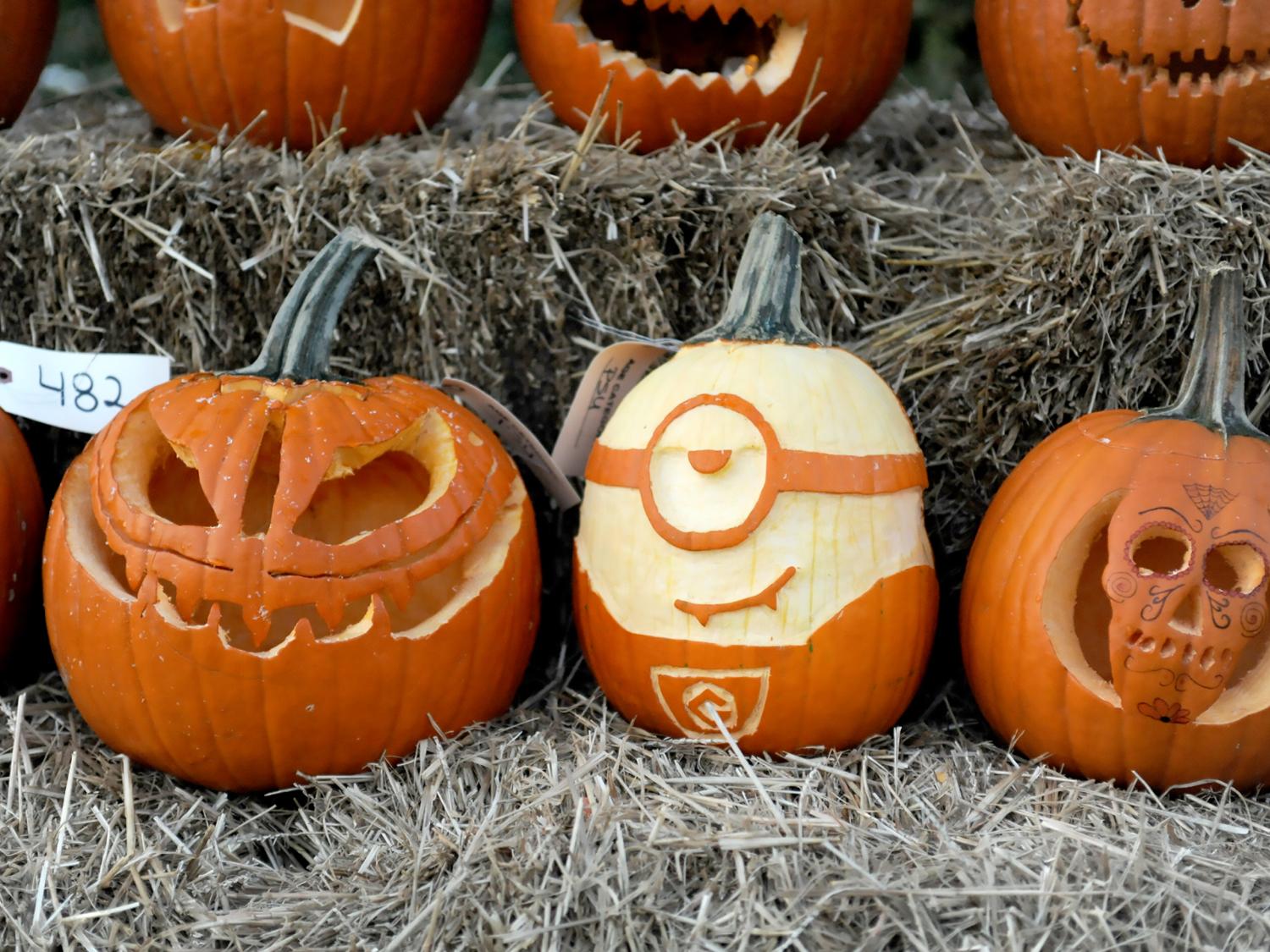 Pumpkin Fest 15-Arboretum-03