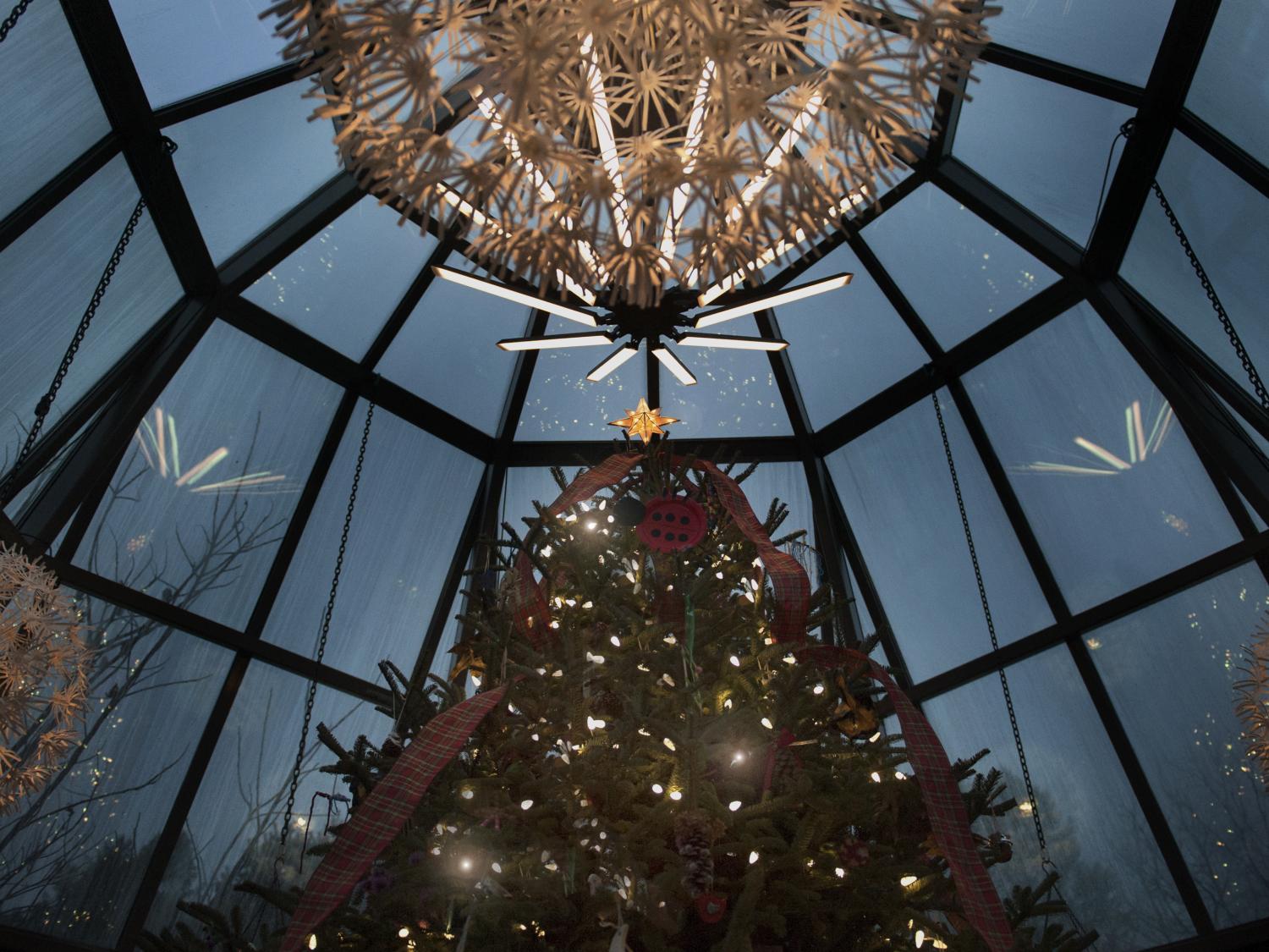 tree in glass house
