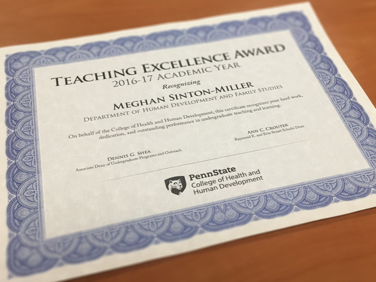 Teaching Excellence 2017