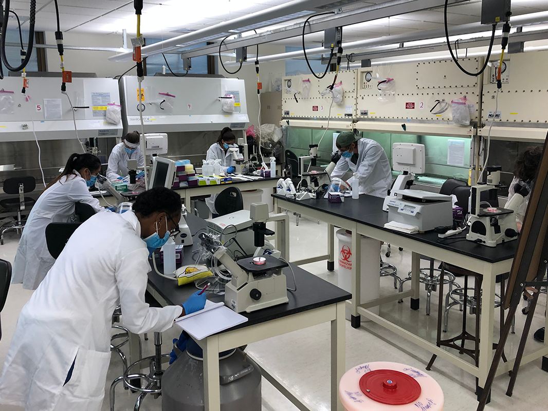 Students in BMB 490 write down their observations of cells while in the tissue culture room