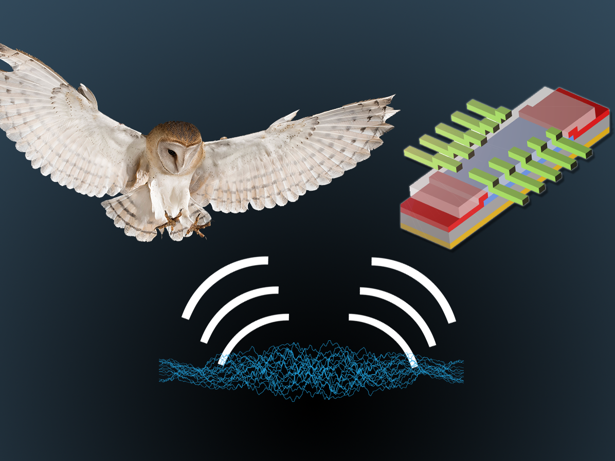 upper left owl in flight, upper right split-gate transistors, bottom sound waves