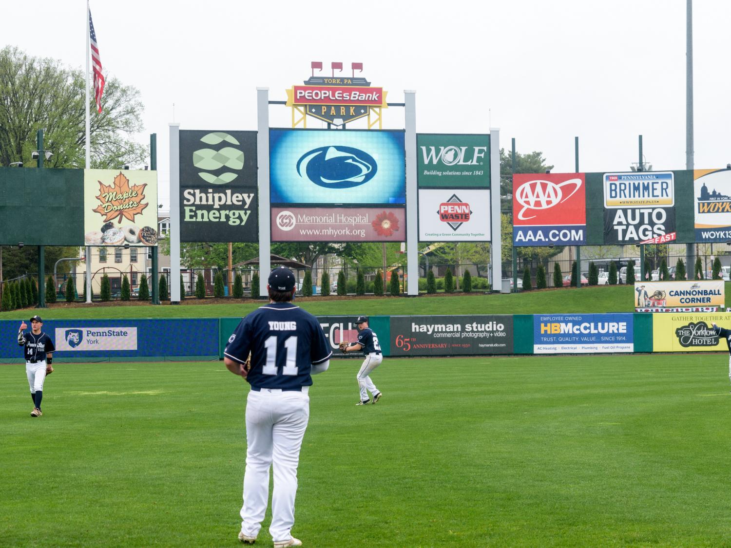 York Baseball