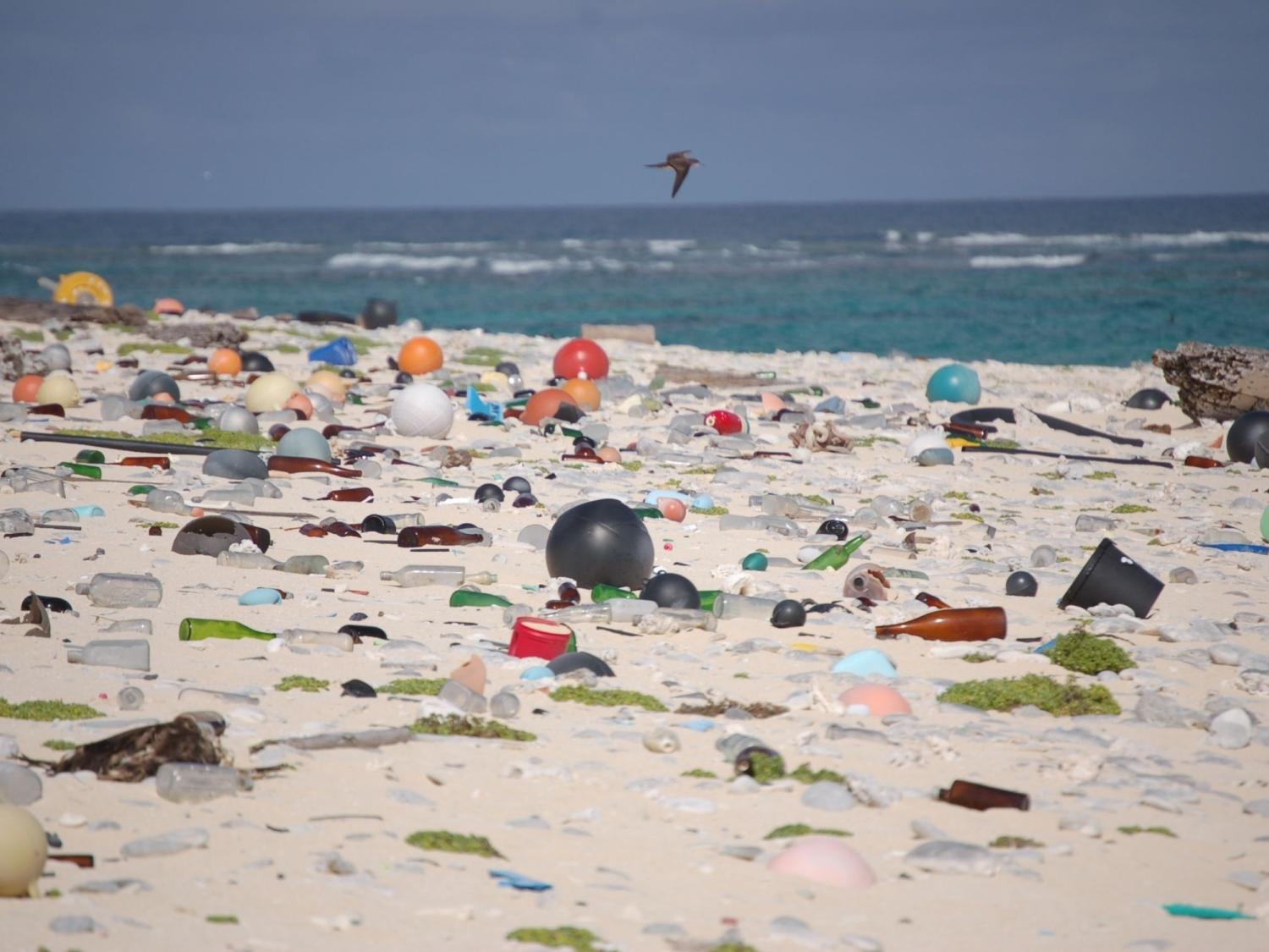 Beach strewn with plastic debris