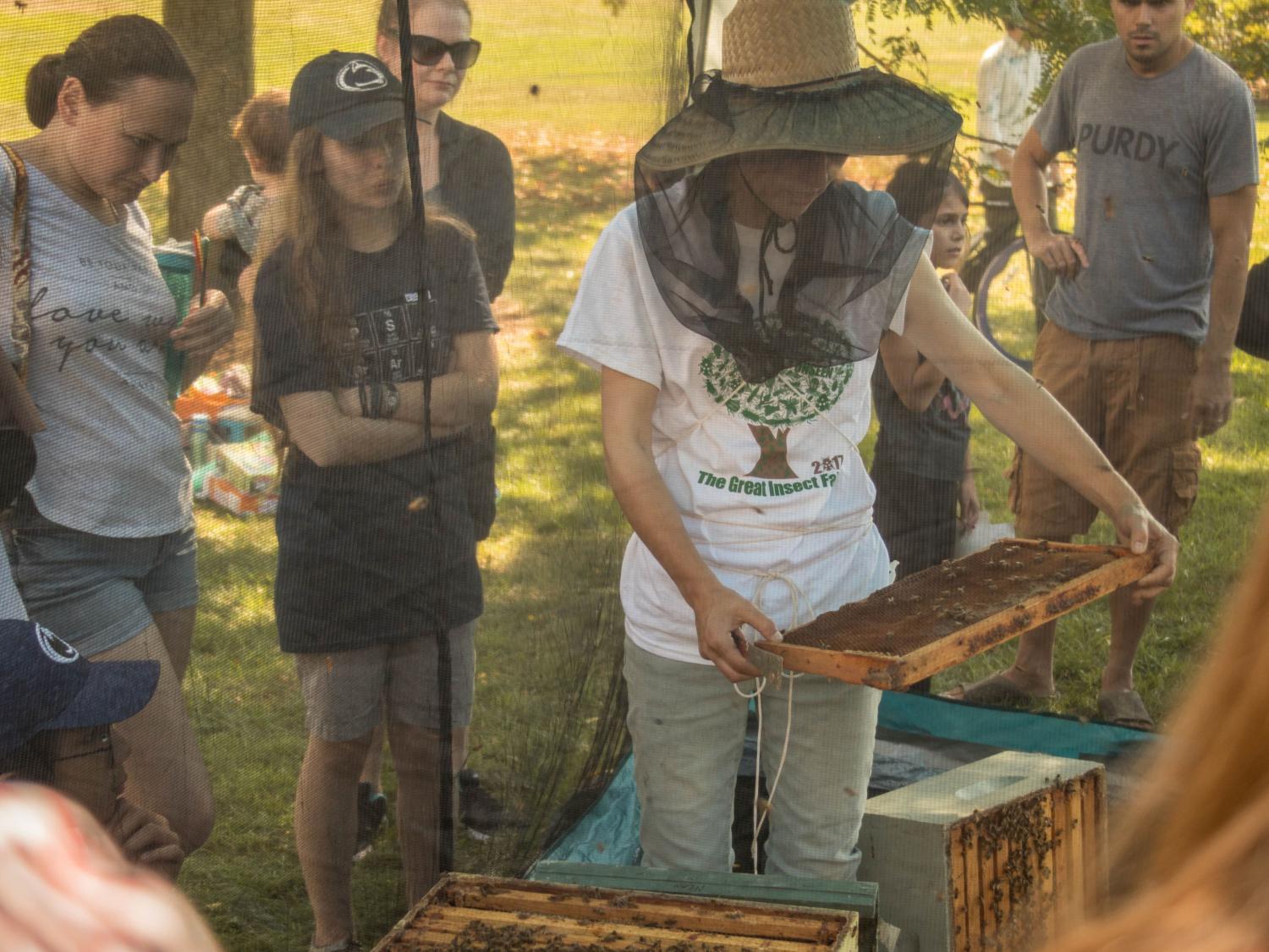 Beekeeping demonstration
