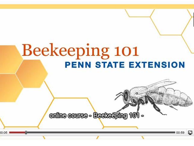 Beekeeping 101 screen shot