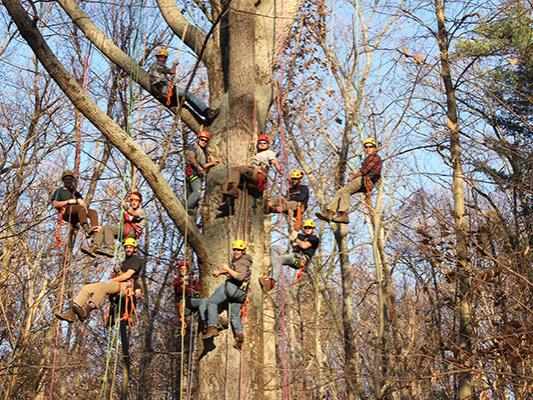 Mont Alto Forestry Students' Big Climb Class Photo 2017
