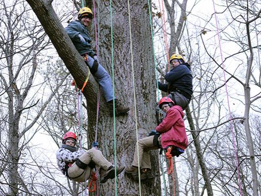 Forestry Students Experience "Big Tree Climb"