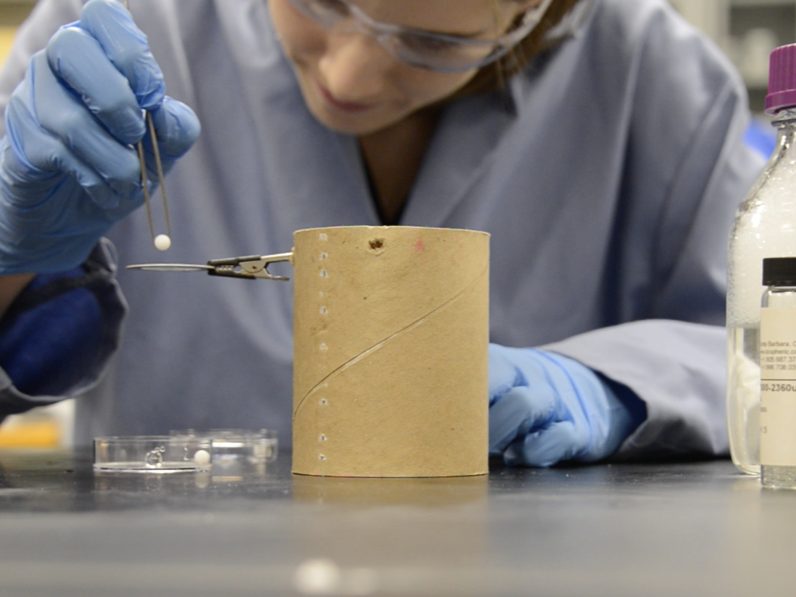 Birgitt Boschitsch works with the reverse filter membrane.