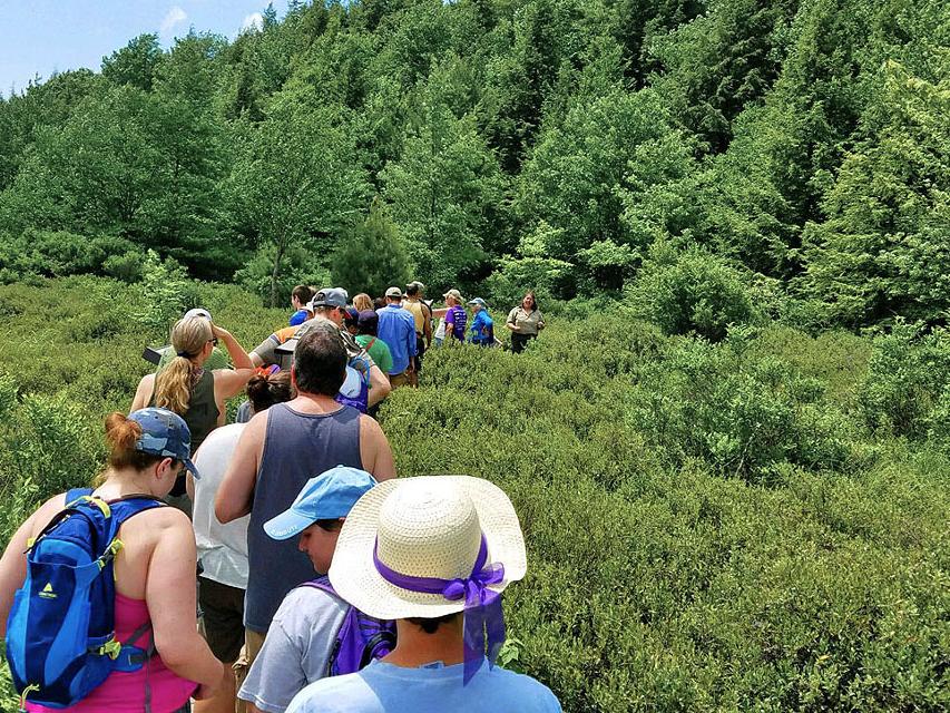 Hiking in Black Moshannon