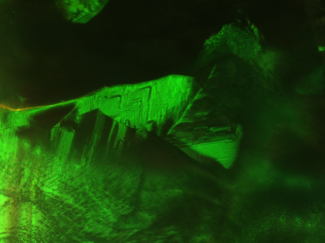 green image of a blue liquid crystal
