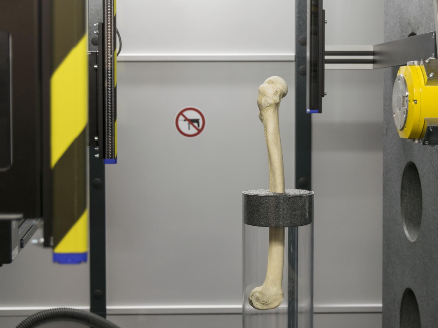 Bone waiting to be scanned in a CT scanner