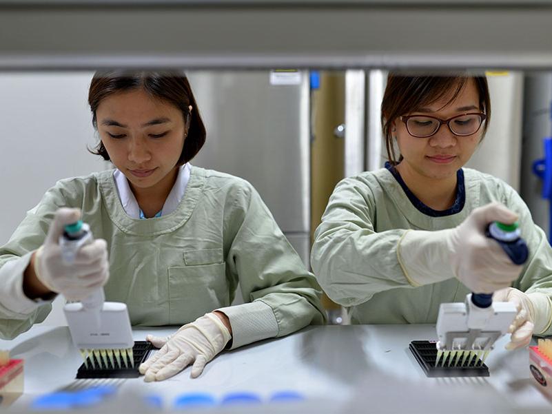 Researchers perform protein microassay to measure flu antibodies in human blood