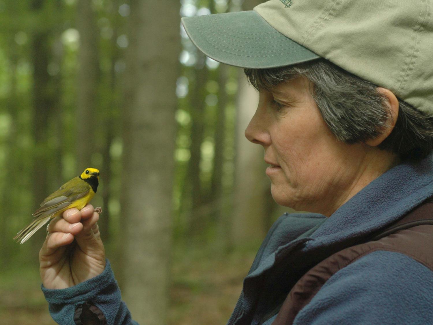 Bridget Stutchbury with bird