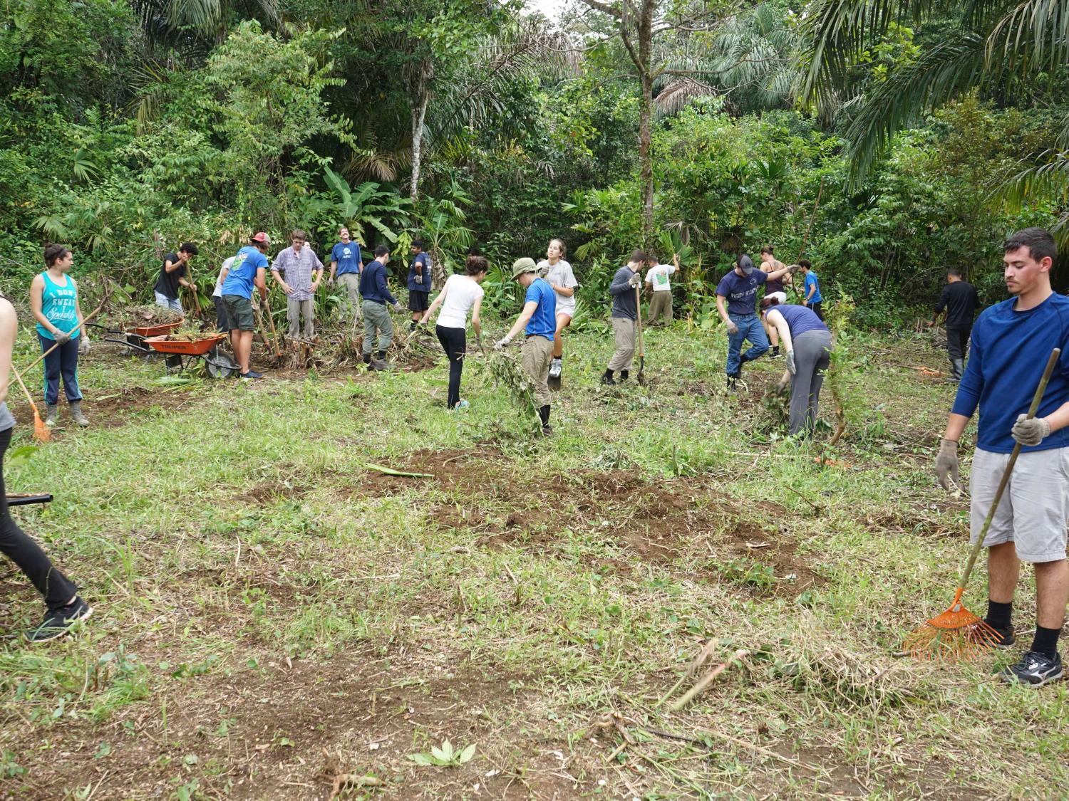 Students researching in a field 