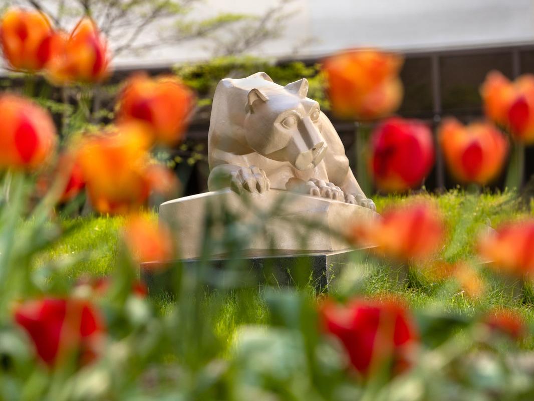 The Nittany Lion statue at Penn State College of Medicine is visible through a patch of flowers.