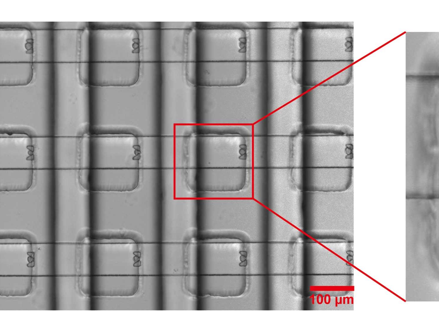 closeup of device