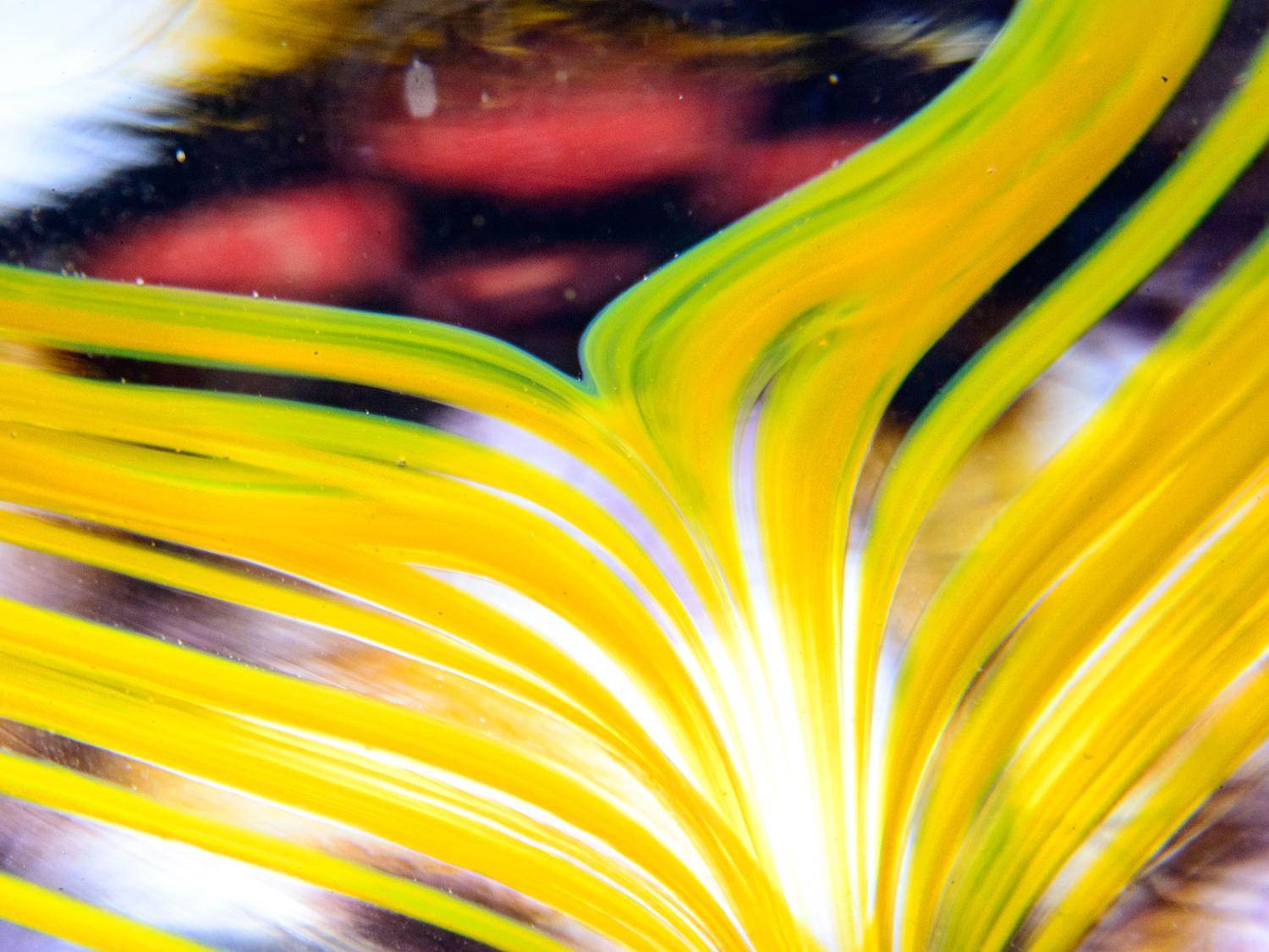 detail of a glass vase