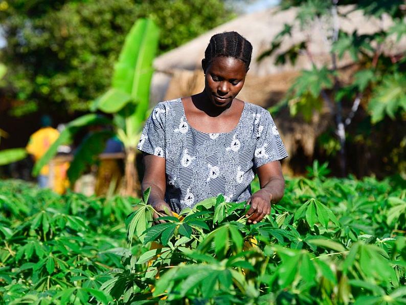 Woman farmer in Tanzania