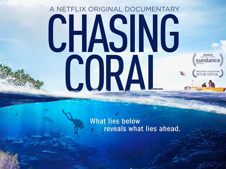 Chasing Coral logo