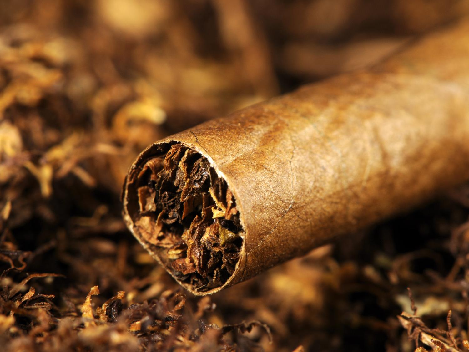 cigarillo