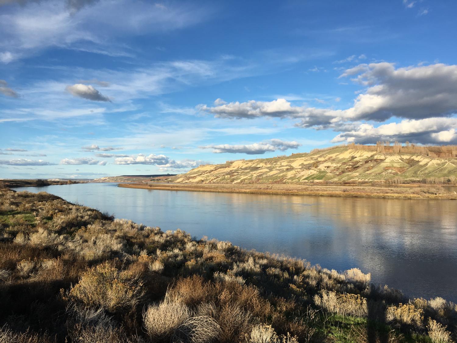 A view of the Columbia River in the Pacific Northwest