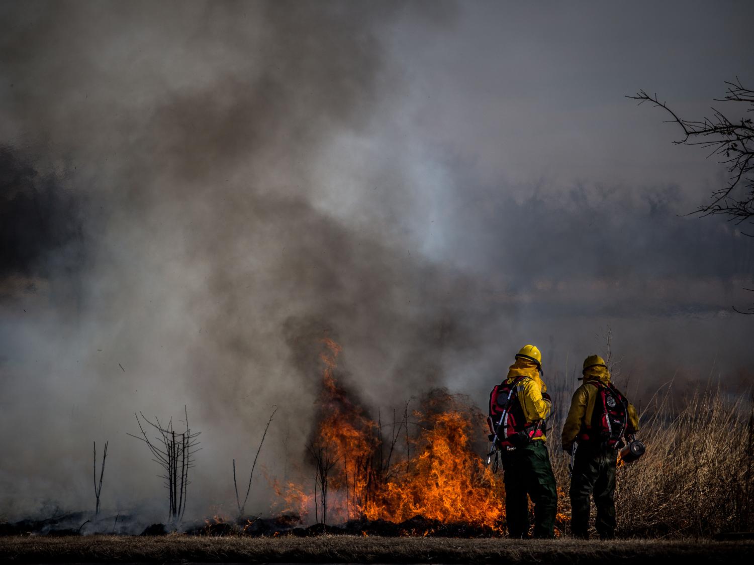 prescribed fire
