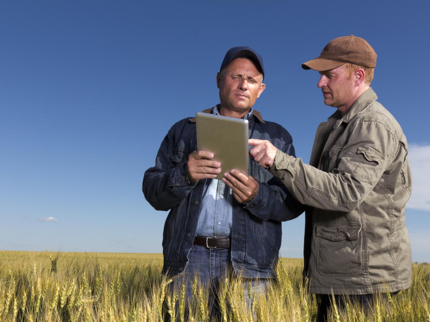 men with tablet in field